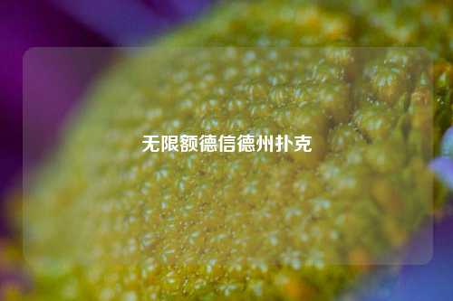 无限额德信德州扑克