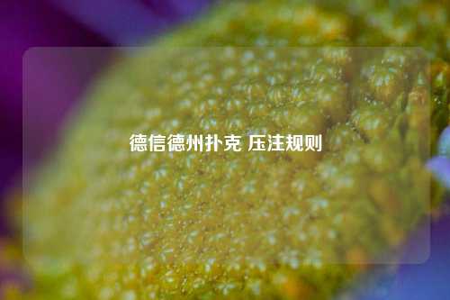 德信德州扑克 压注规则