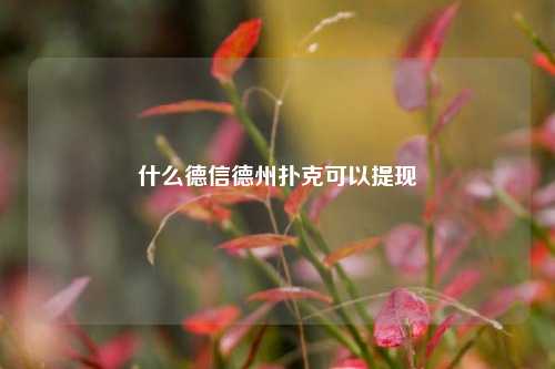 什么德信德州扑克可以提现