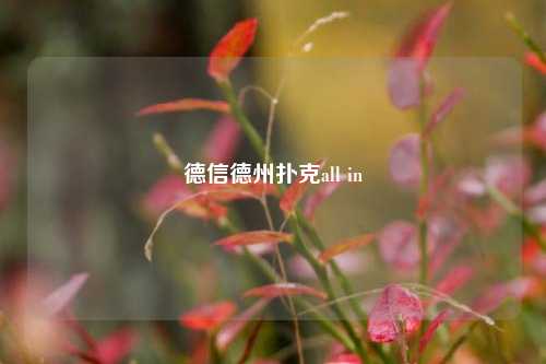 德信德州扑克all in