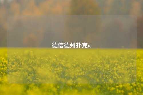 德信德州扑克ie