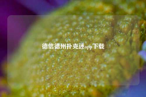德信德州扑克迷app下载