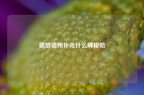 德信德州扑克什么牌梭哈
