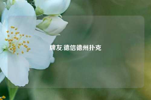 牌友.德信德州扑克
