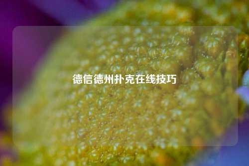 德信德州扑克在线技巧