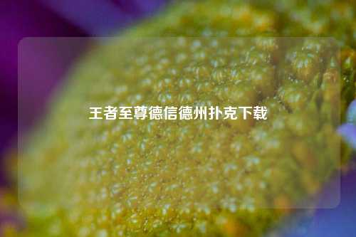 王者至尊德信德州扑克下载