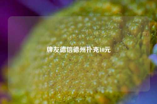 牌友德信德州扑克10元