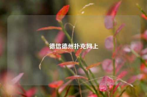 德信德州扑克网上